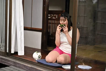 【ぽっちゃり動画セレクション】 星明日菜の若妻・幼妻 動画リスト